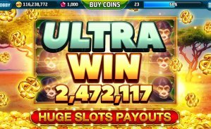 166bet com
